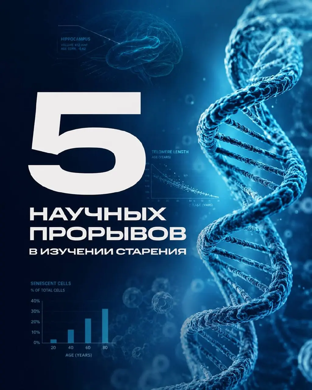 У вас не один возраст, а несколько
Это давно не метафора | Сетка — социальная сеть от hh.ru