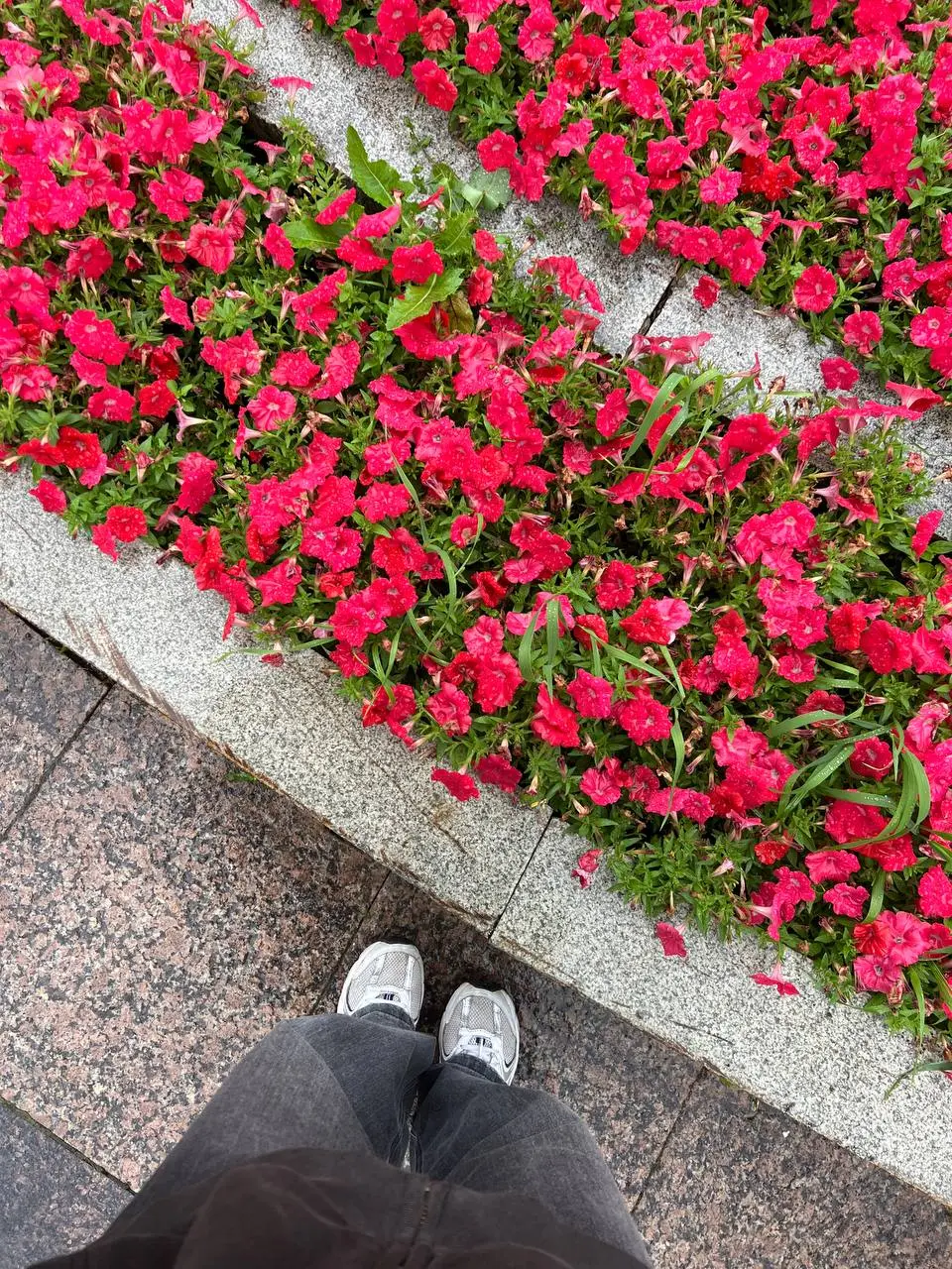 а теперь, где погулять в Екатеринбурге 🚶‍♀️
мне повезло с дождливой погодой, поэтому гуляла не супер много
🏞 подышать кислородом:

Дендро парк
Харитоновский сад
Плотинка, набережная
да и вообще в горо... | Сетка — социальная сеть от hh.ru