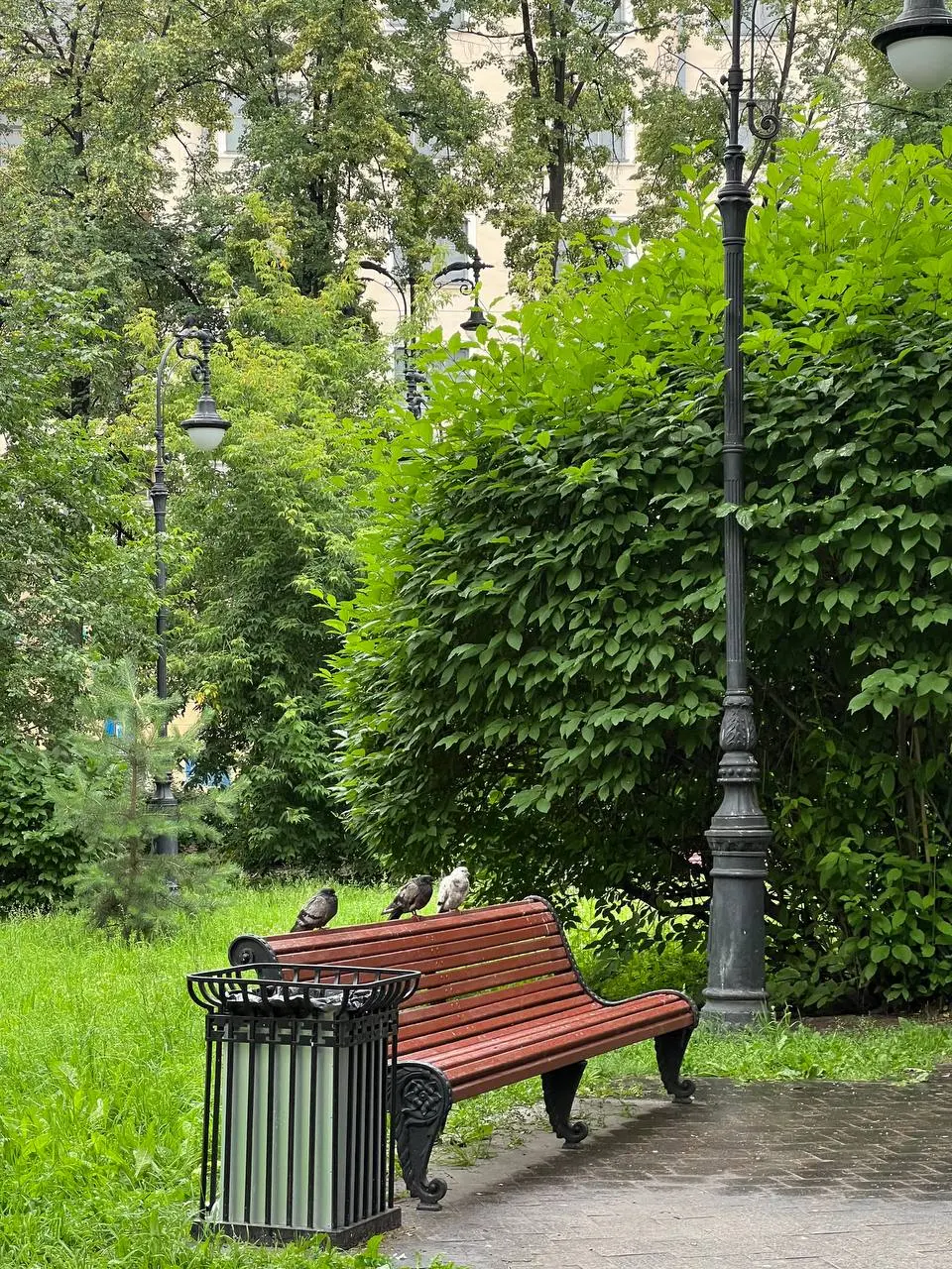 а теперь, где погулять в Екатеринбурге 🚶‍♀️
мне повезло с дождливой погодой, поэтому гуляла не супер много
🏞 подышать кислородом:

Дендро парк
Харитоновский сад
Плотинка, набережная
да и вообще в горо... | Сетка — социальная сеть от hh.ru