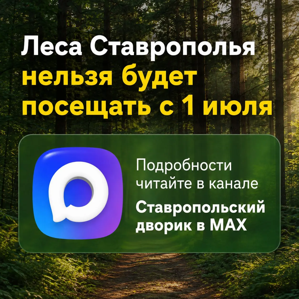 ⛔️Леса Ставрополья нельзя будет посещать с 1 июля
Подробнее написали здесь 👈 | Сетка — социальная сеть от hh.ru