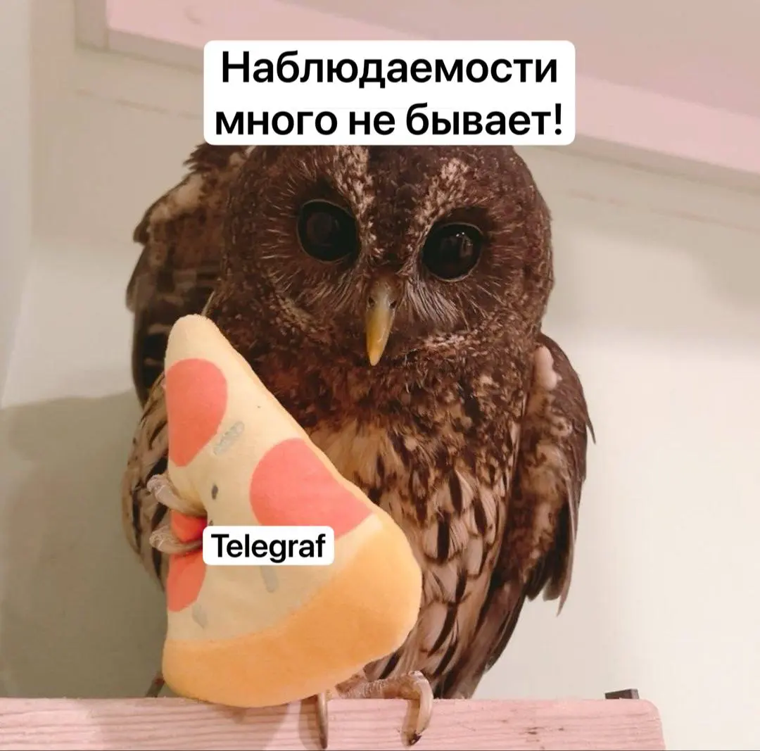 Зачем разворачивать Telegraf от InfluxDB для Highload QA | Сетка — социальная сеть от hh.ru