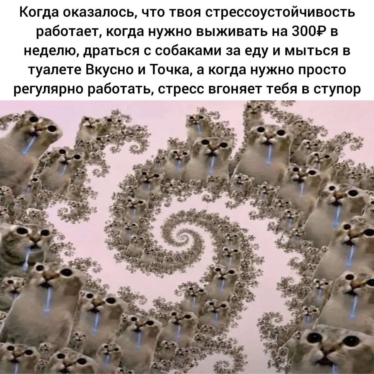 Ну почему все тааааак... | Сетка — социальная сеть от hh.ru