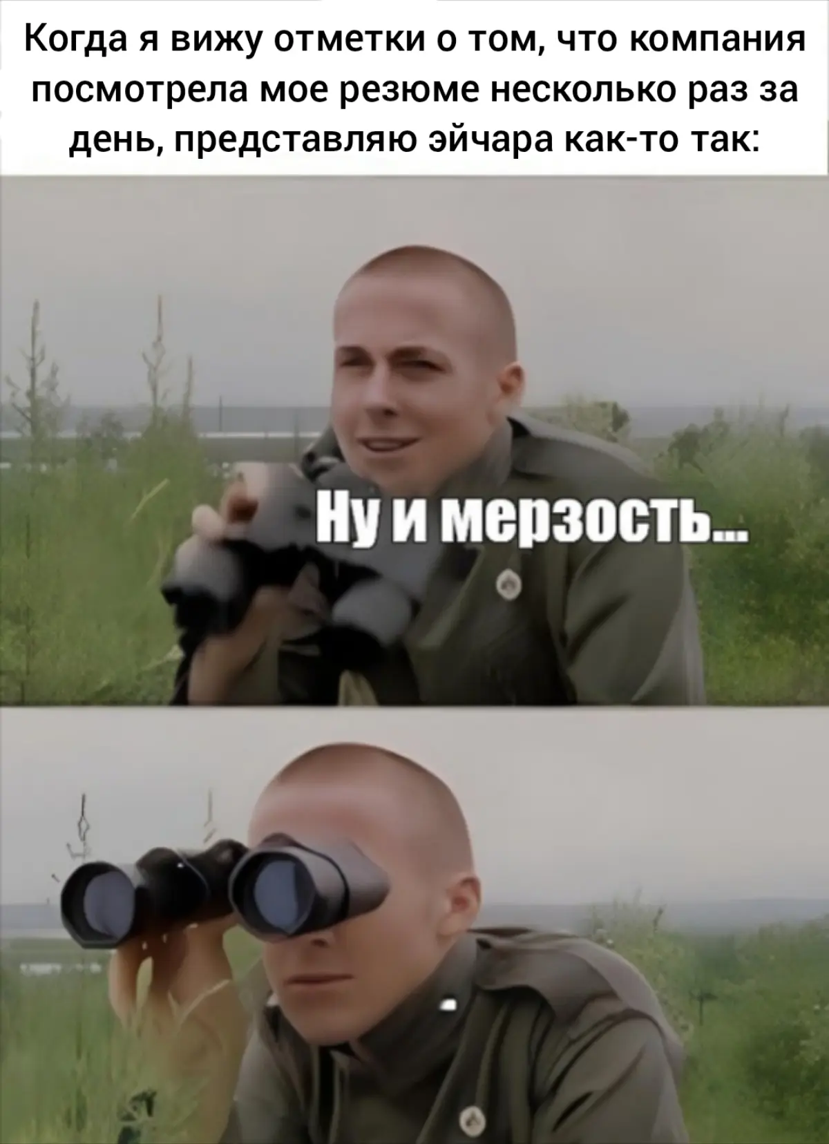 Зуб даю, он смотрит, восхищается от омерзения, дальше работает, но не может выкинуть меня из головы, снова смотрит, опять мерзко, через время зовёт руководителя и они снова смотрят, но уже чтобы испыт... | Сетка — социальная сеть от hh.ru