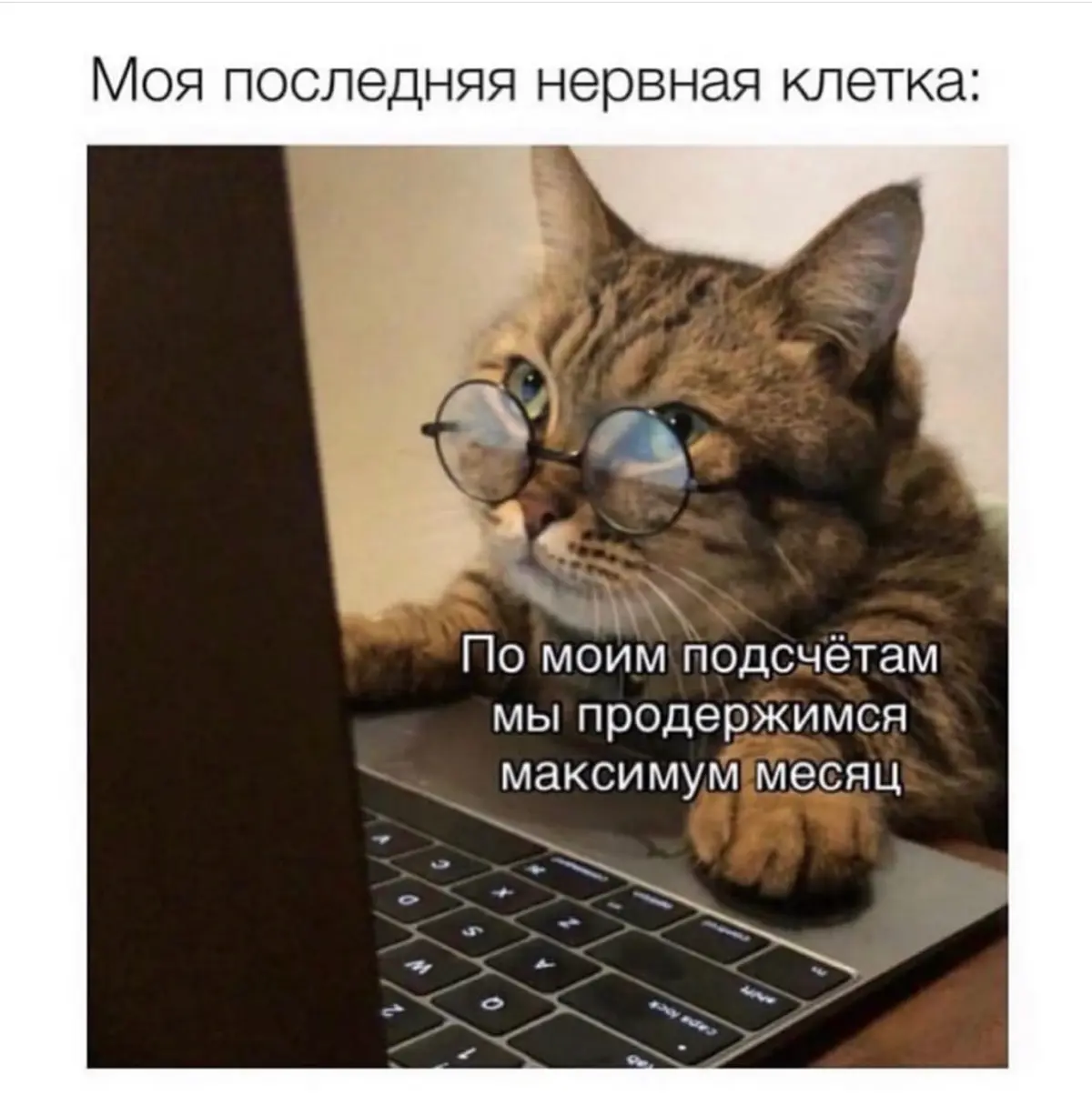 Мысли 💭 вслух и моё недовольство 😡 | Сетка — социальная сеть от hh.ru