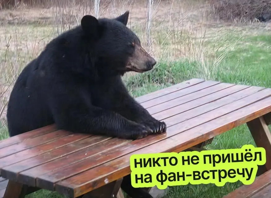 Как собрать продуктовый митап, на который придут не только ради пиццы
У меня случился авторский апгрейд – я написала статью на Хабре 🚀 о том, как мы в «Немного продакт» организуем митапы: от идеи и пр... | Сетка — социальная сеть от hh.ru