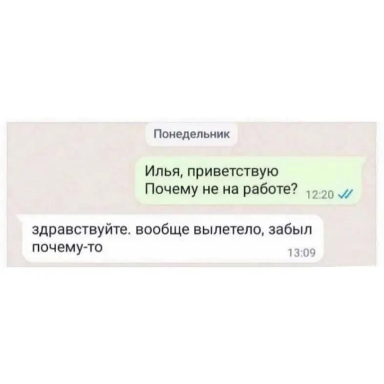 Сетка — социальная сеть от hh.ru