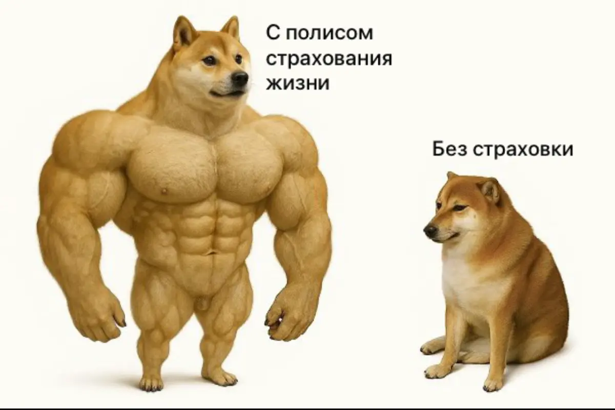 Плюсы и минусы накопительного страхования жизни | Сетка — социальная сеть от hh.ru