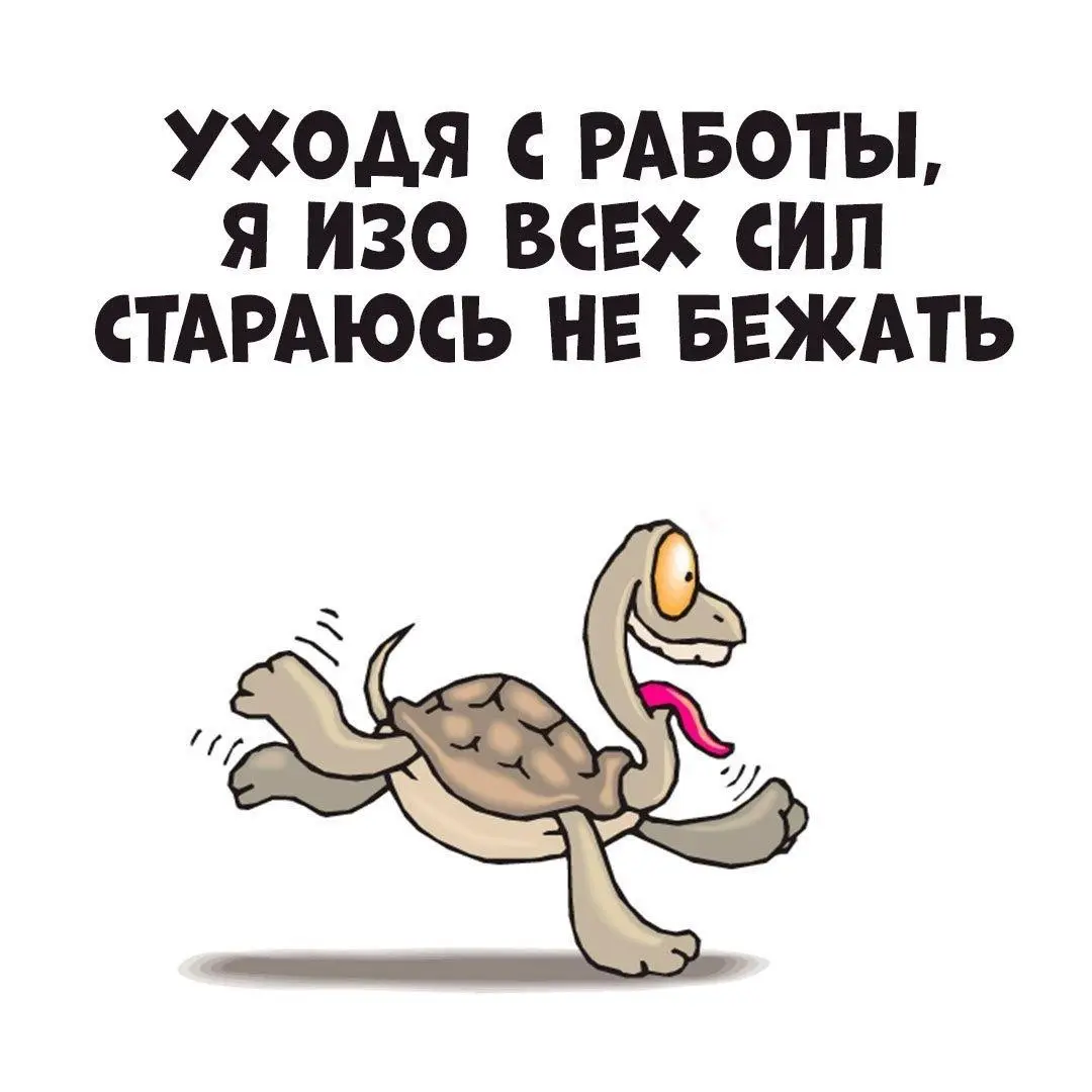 Чему я научилась за последние полгода? | Сетка — социальная сеть от hh.ru