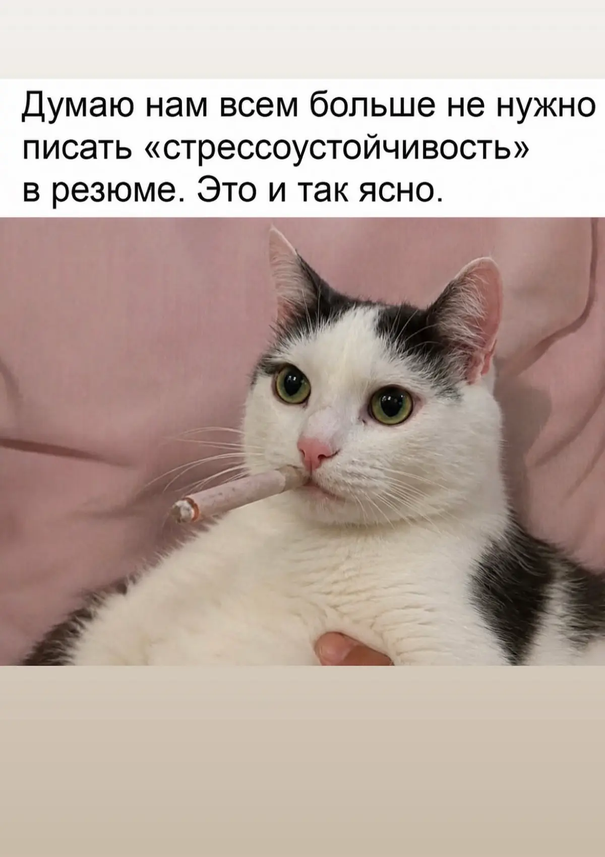 Как-то так.. | Сетка — социальная сеть от hh.ru