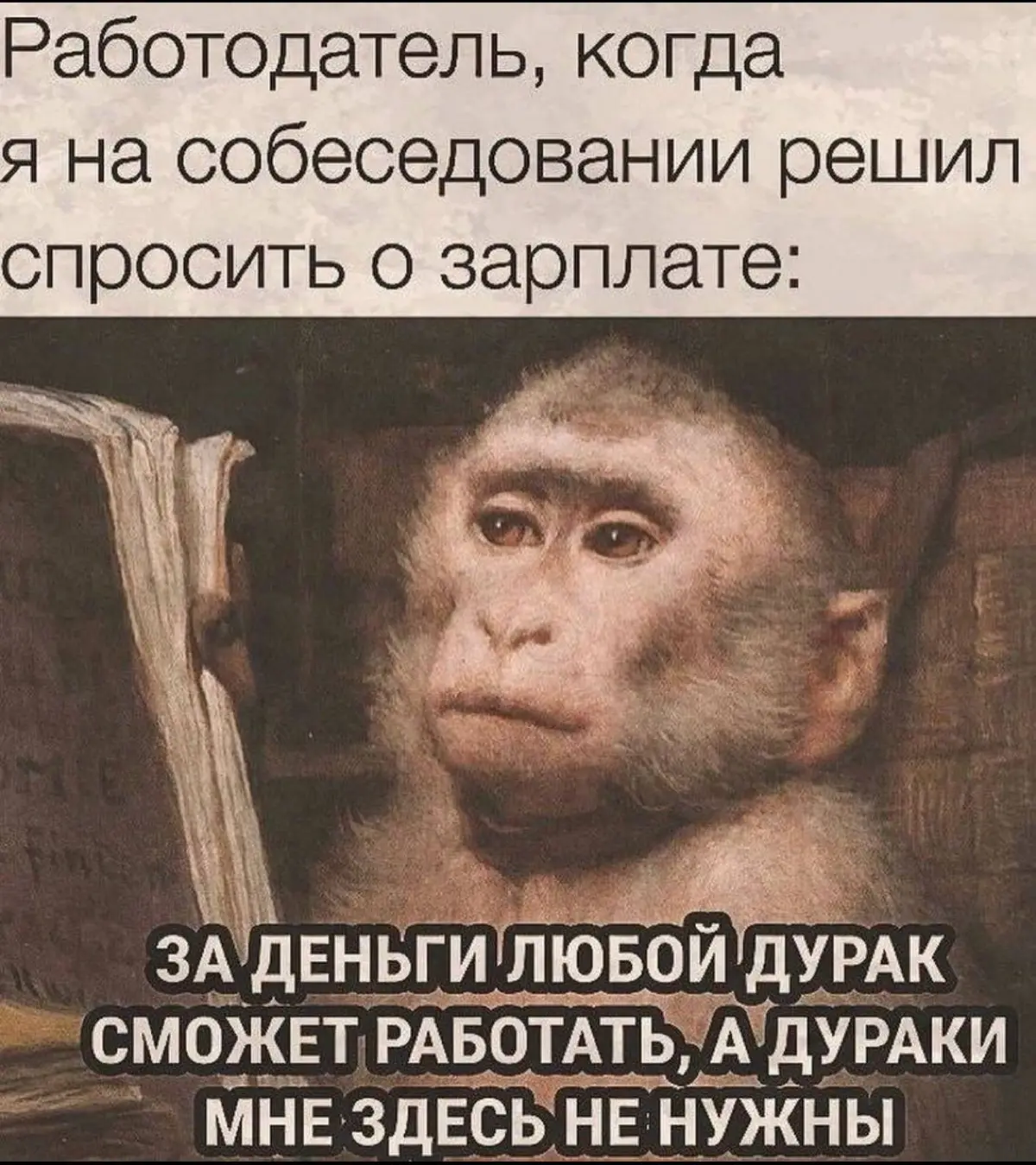 покидайте смешных картинок | Сетка — социальная сеть от hh.ru