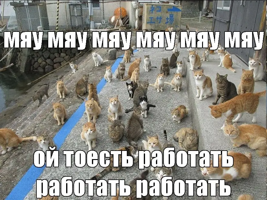 Собираю команду мечты для двух проектов 🤩
🖱 Приоритезатор. Это сайт, который я собрала сама через Bolt и VibeCode. Живёт тут (работает обычно с VPN) | Сетка — социальная сеть от hh.ru