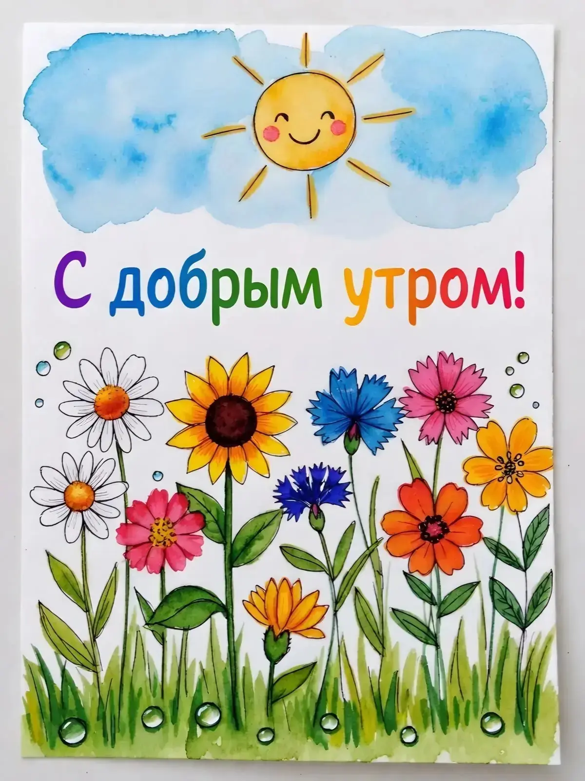 «Когда QA — это кот: история одного саботажа» | Сетка — социальная сеть от hh.ru