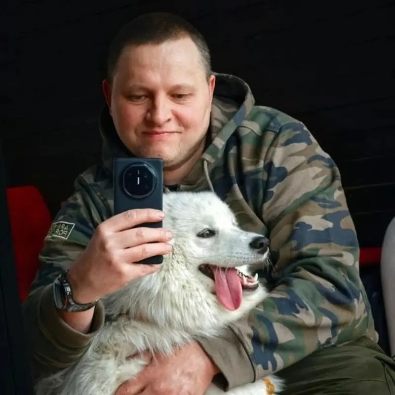 Андрей Котельников