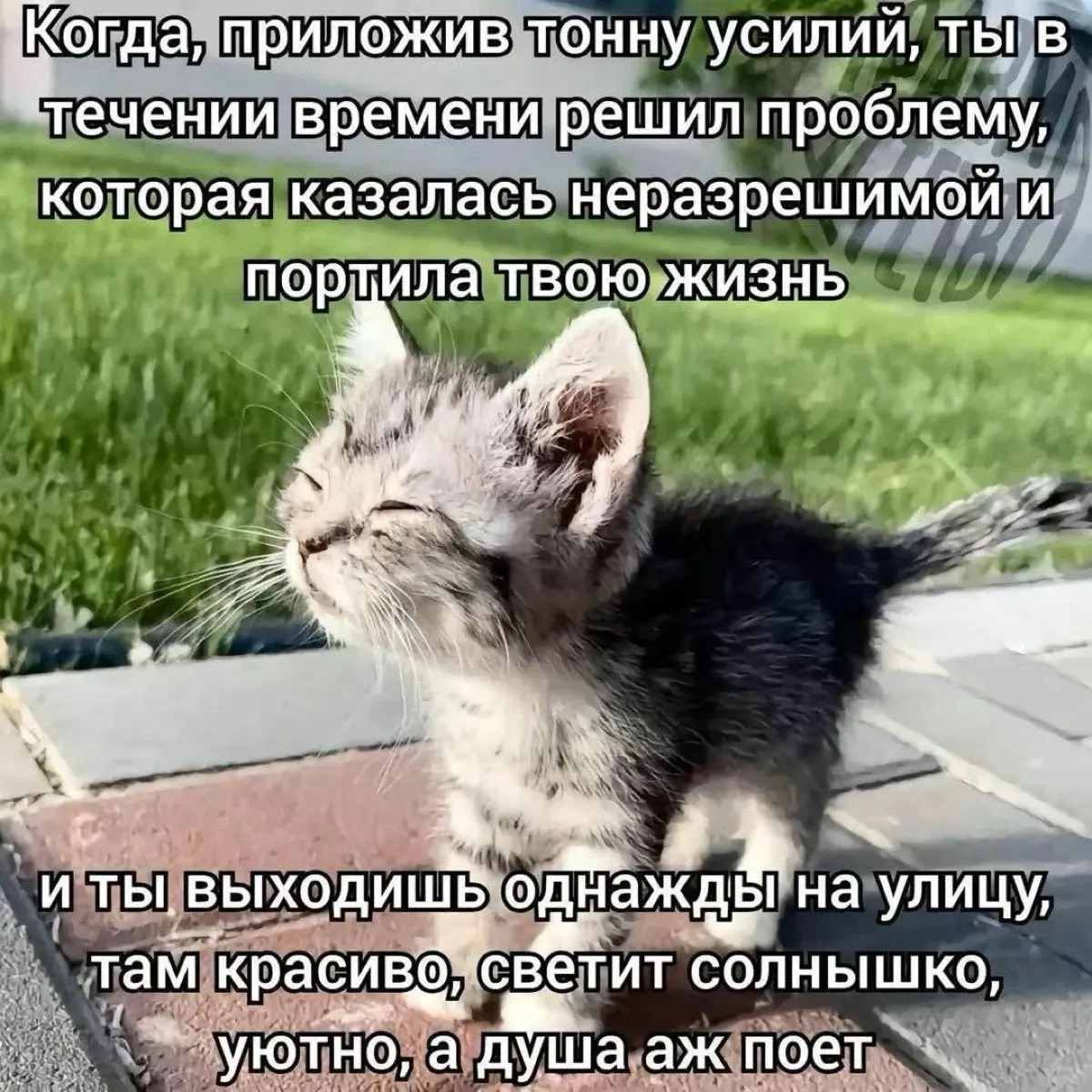 Илья Хлыщ