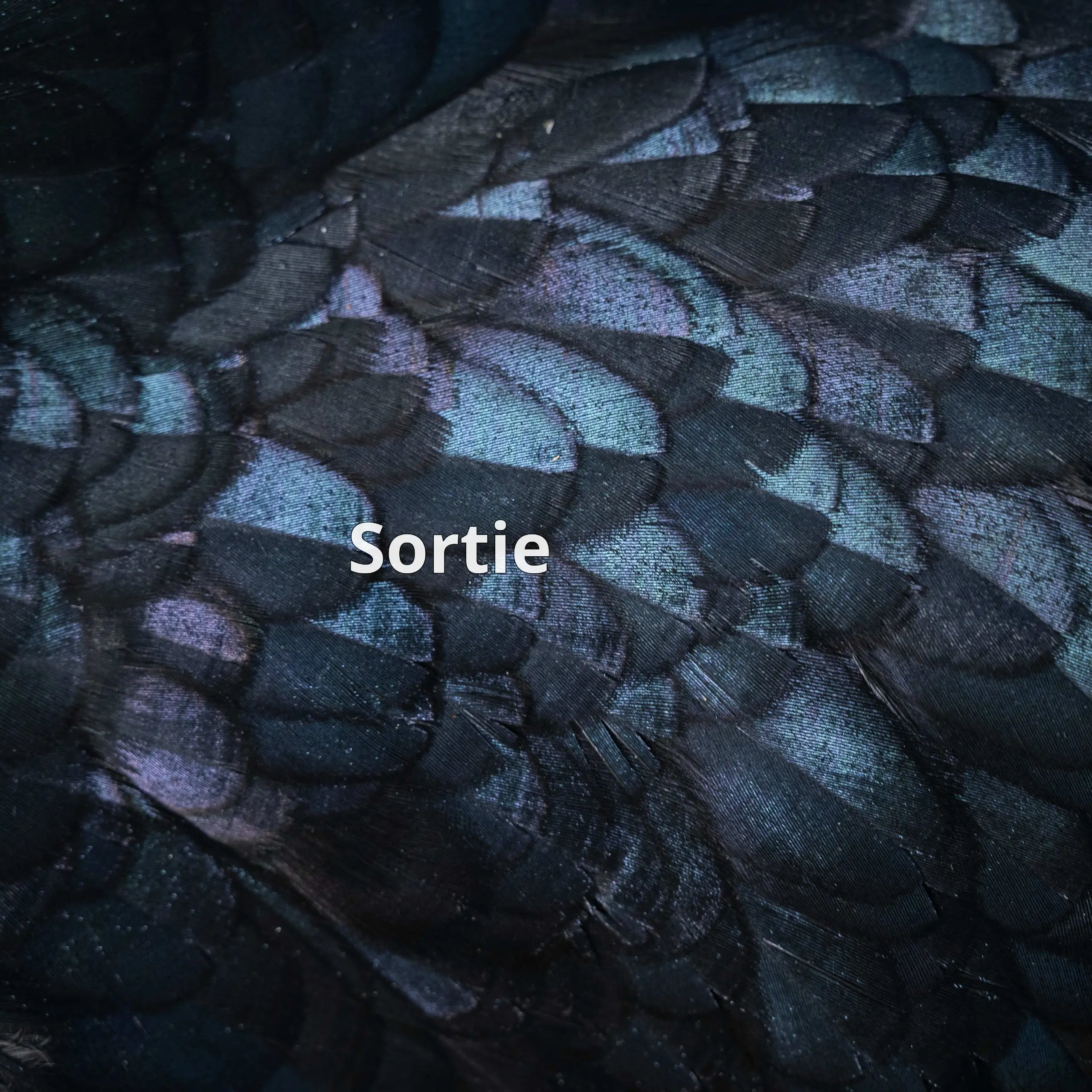 Sortie — сервис, который помогает найти, куда пойти сегодня вечером в вашем городе.
Здесь нет профилей и алгоритмов | Сетка — социальная сеть от hh.ru
