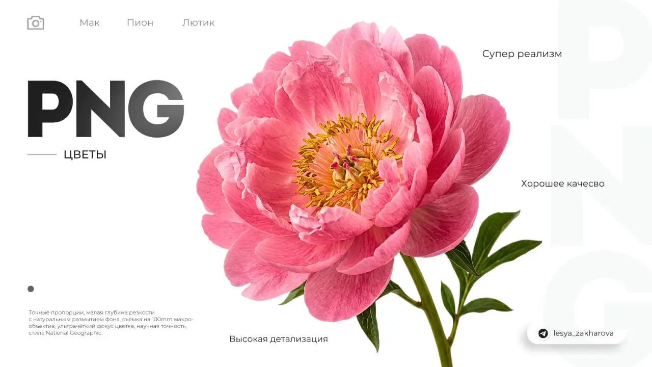 Долгожданный пак с цветами 🌼🌼🌼
Более 50 готовых файлов для ваших проектов.
Забирайте по ссылке:
ССЫЛКА | Сетка — социальная сеть от hh.ru