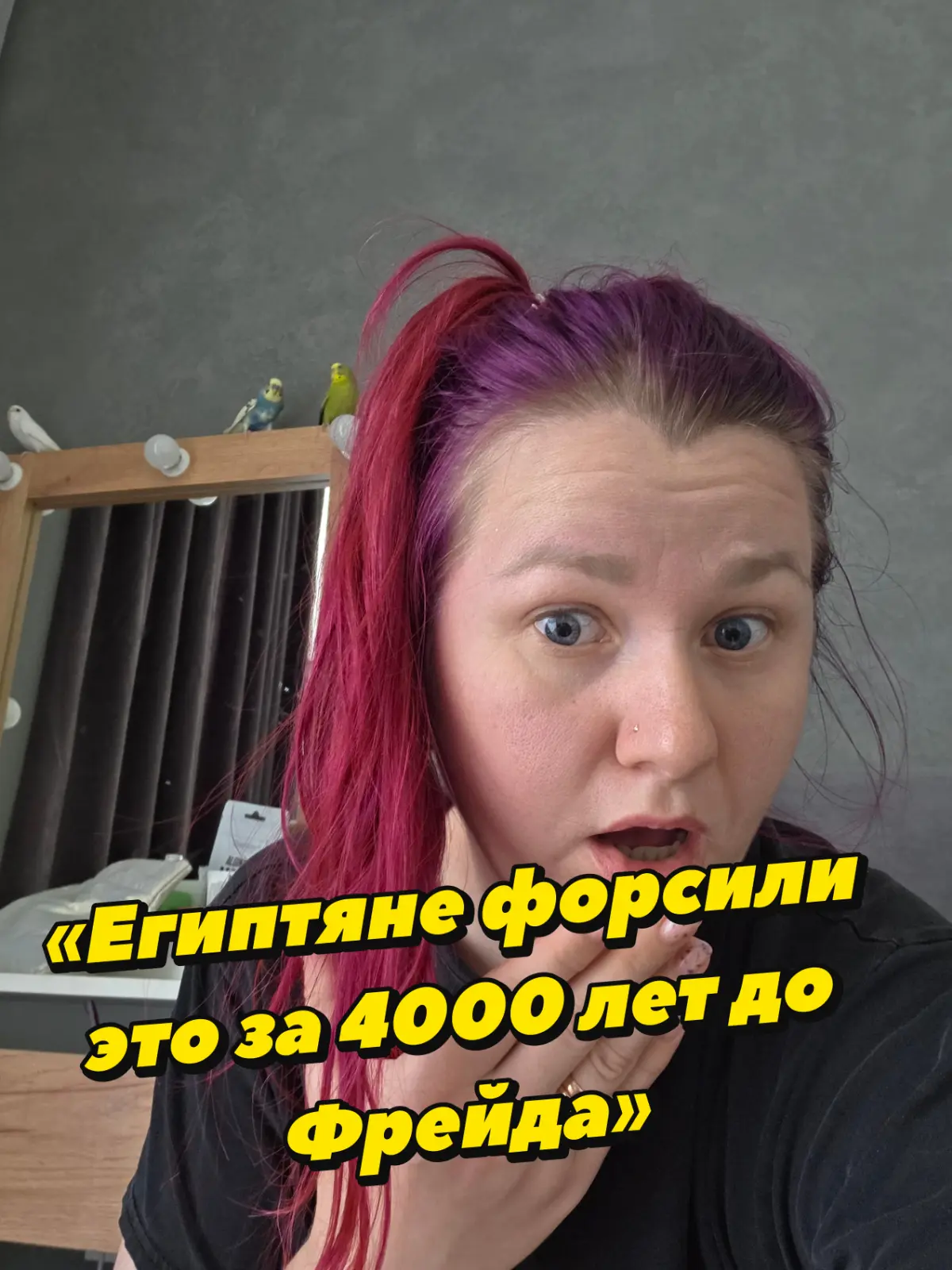 Египтяни и ФрейД | Сетка — социальная сеть от hh.ru