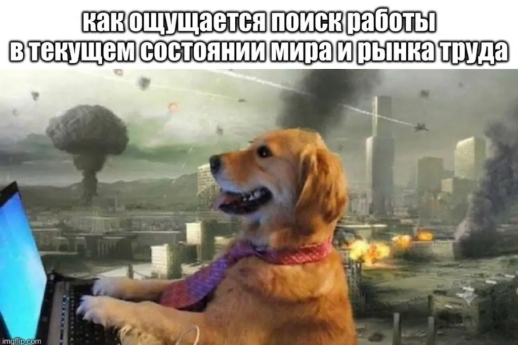 Еще один пост про мой поиск работы! | Сетка — социальная сеть от hh.ru