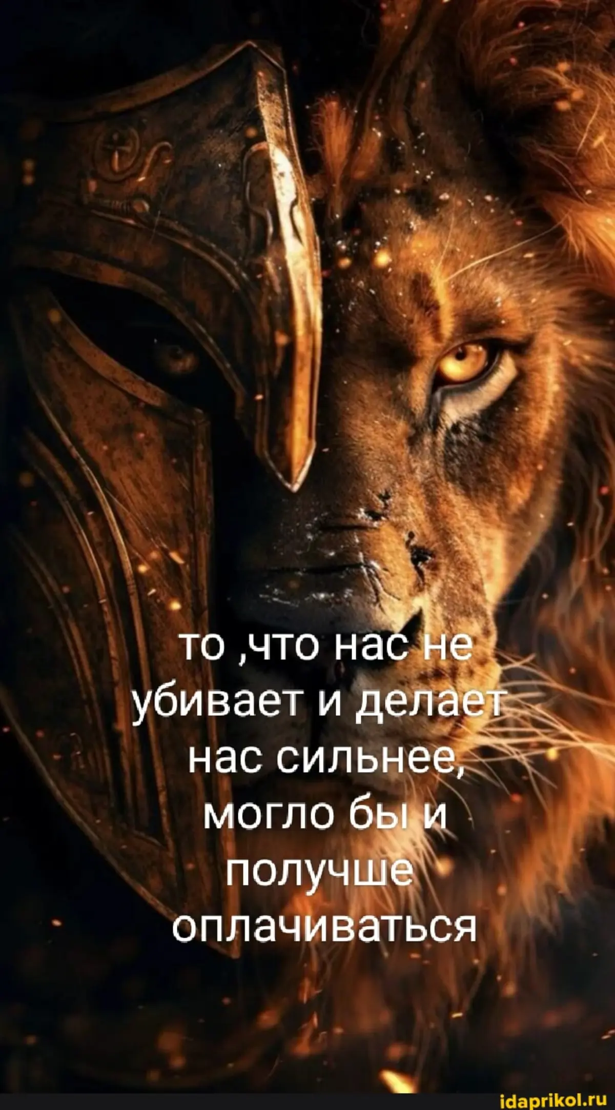 comment image