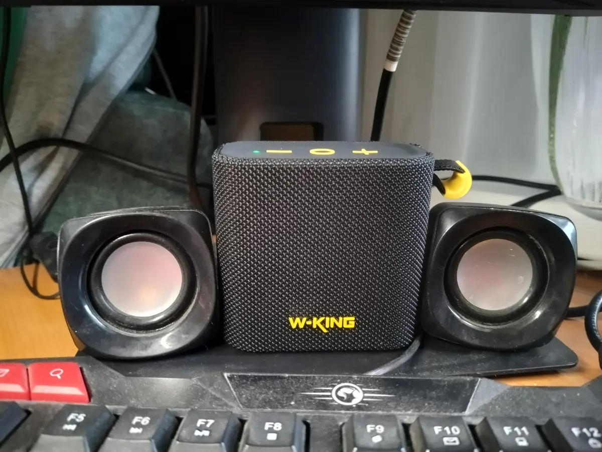 Решил взять чёрную колонку W-King D2 на Озоне за 1330₽ | Сетка — социальная сеть от hh.ru