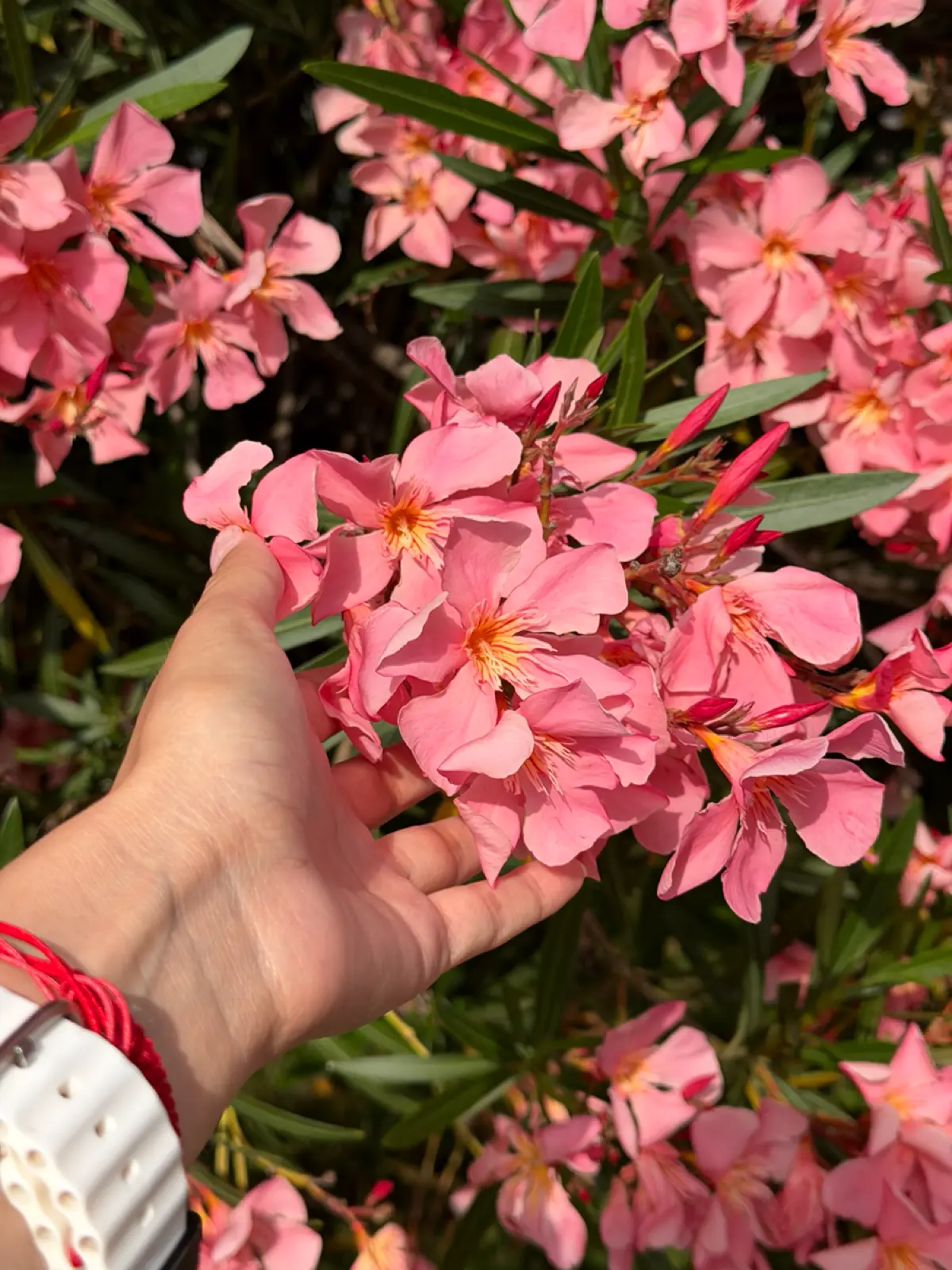 Сегодня 1 июля 🌸☀️🩵 | Сетка — социальная сеть от hh.ru