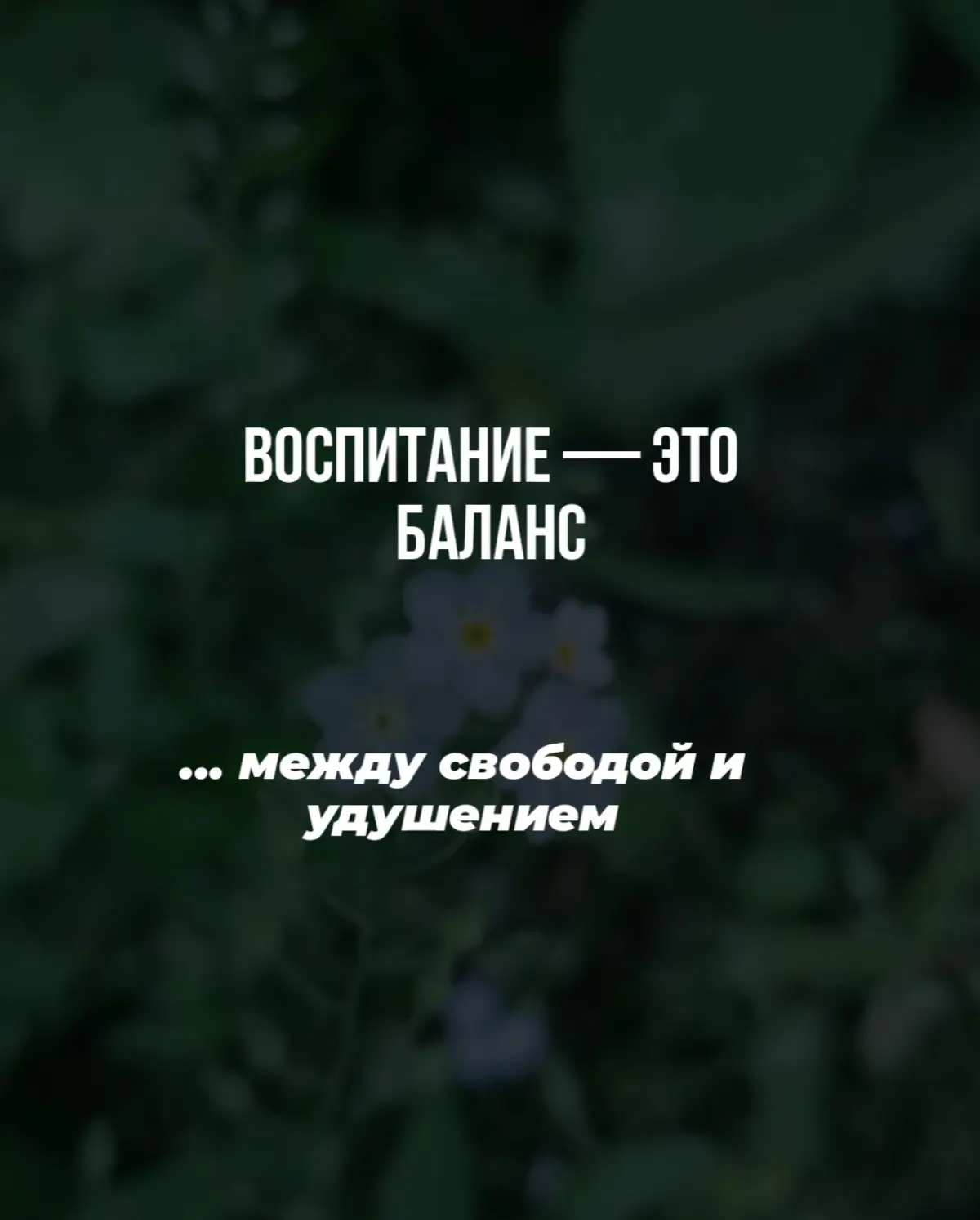 Опыт — это ценность, которая не осознается | Сетка — социальная сеть от hh.ru