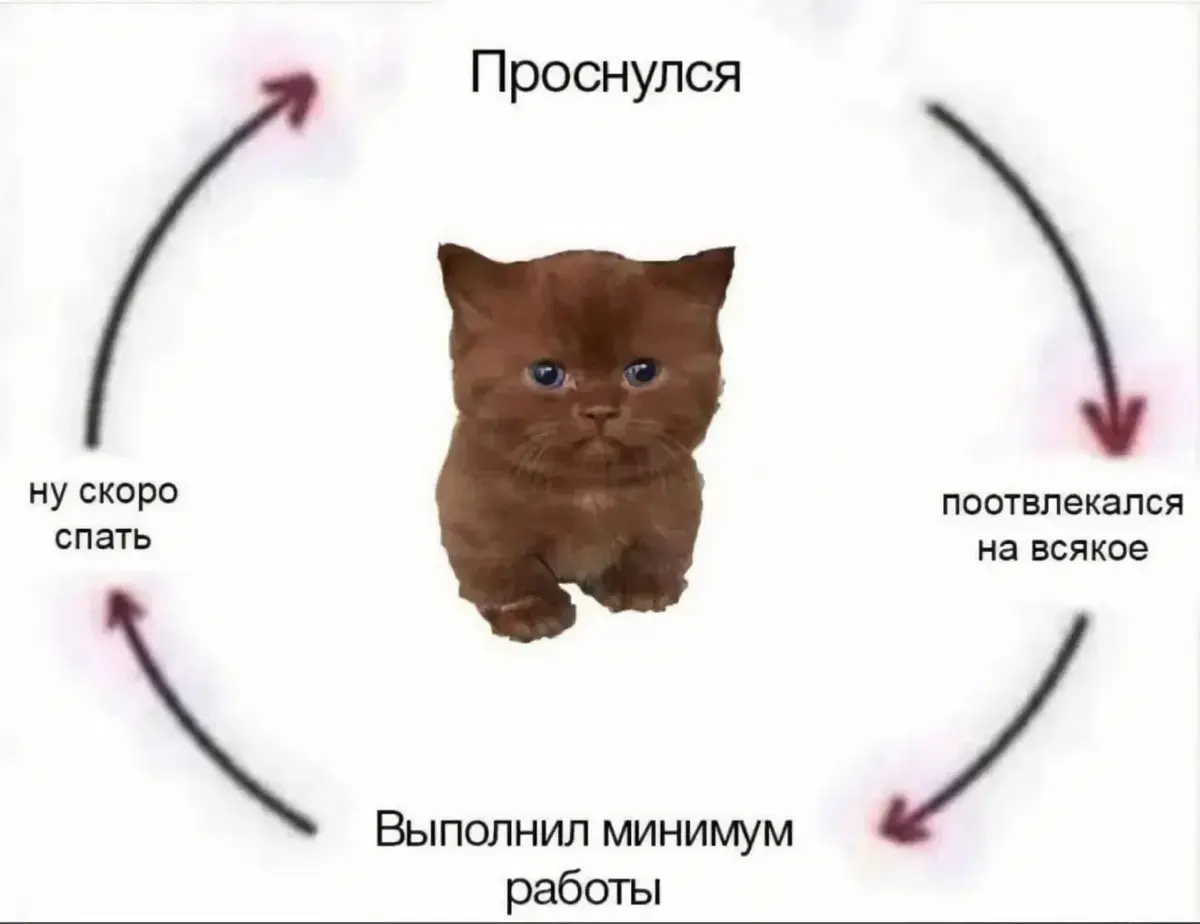 Опишите себя на работе картинкой | Сетка — социальная сеть от hh.ru