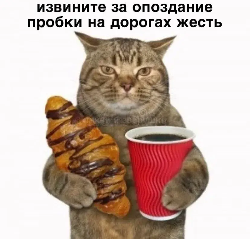 Опишите себя на работе картинкой | Сетка — социальная сеть от hh.ru