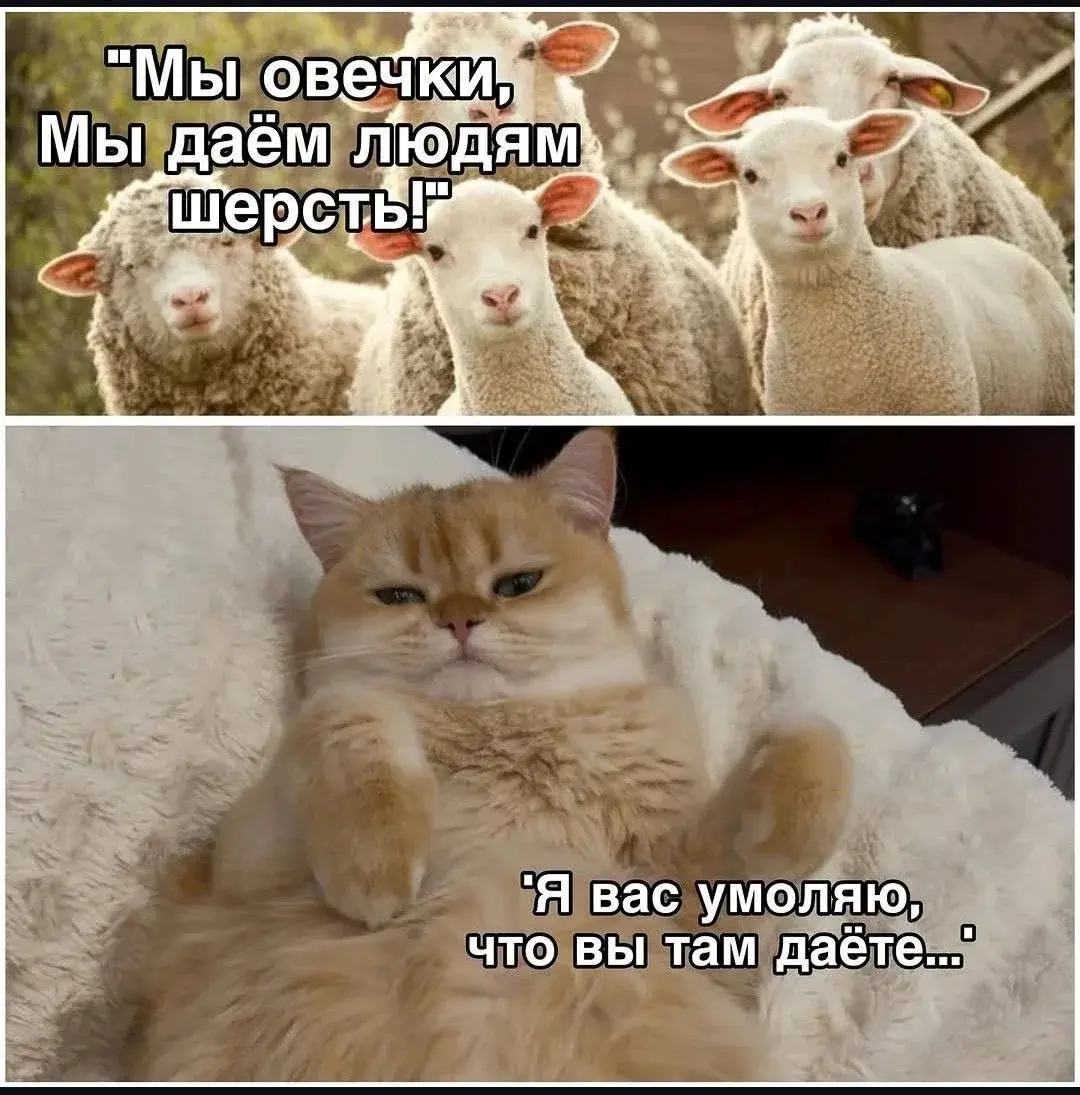 Когда работники говорят начальнику о своей значимости | Сетка — социальная сеть от hh.ru