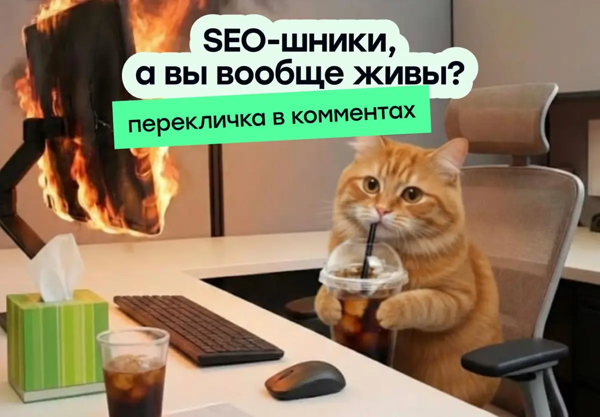 SEO-шники, а вы живы? | Сетка — социальная сеть от hh.ru