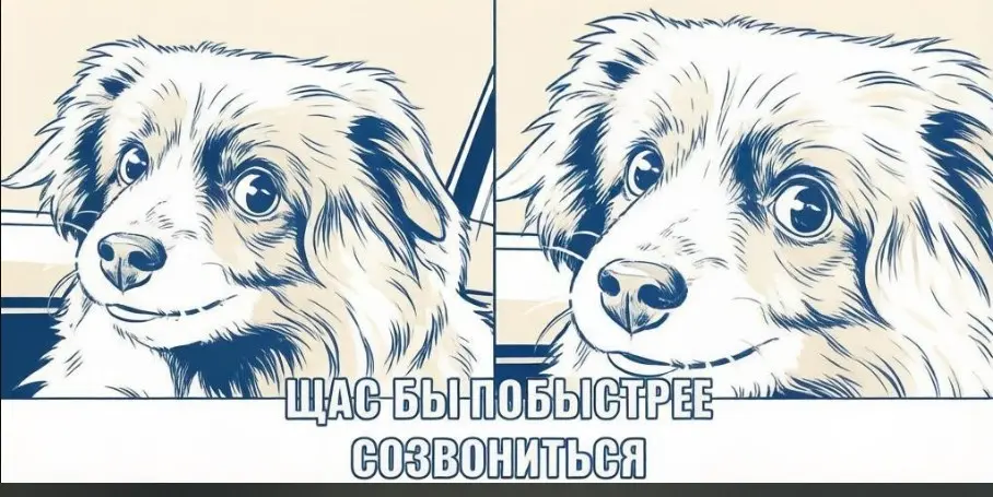 Созвон: инструкция по выживанию | Сетка — социальная сеть от hh.ru
