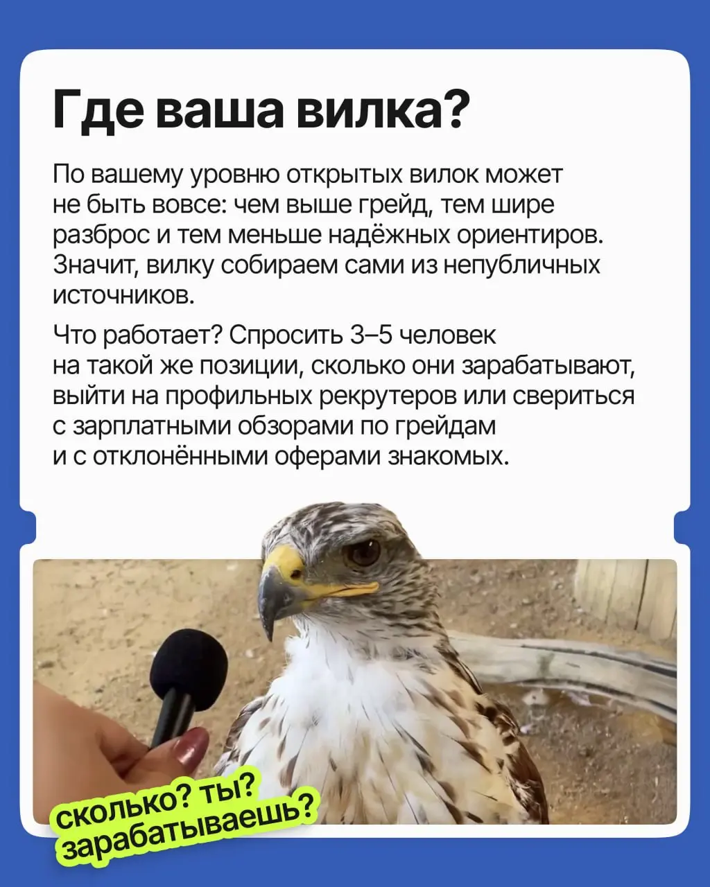 «Назовите ваши зарплатные ожидания» — любимый вопрос тревожников. Скажешь много — отсеют, скажешь мало — будешь годами работать за копейки. Ещё и вилки в вакансии нет, опереться не на что | Сетка — социальная сеть от hh.ru