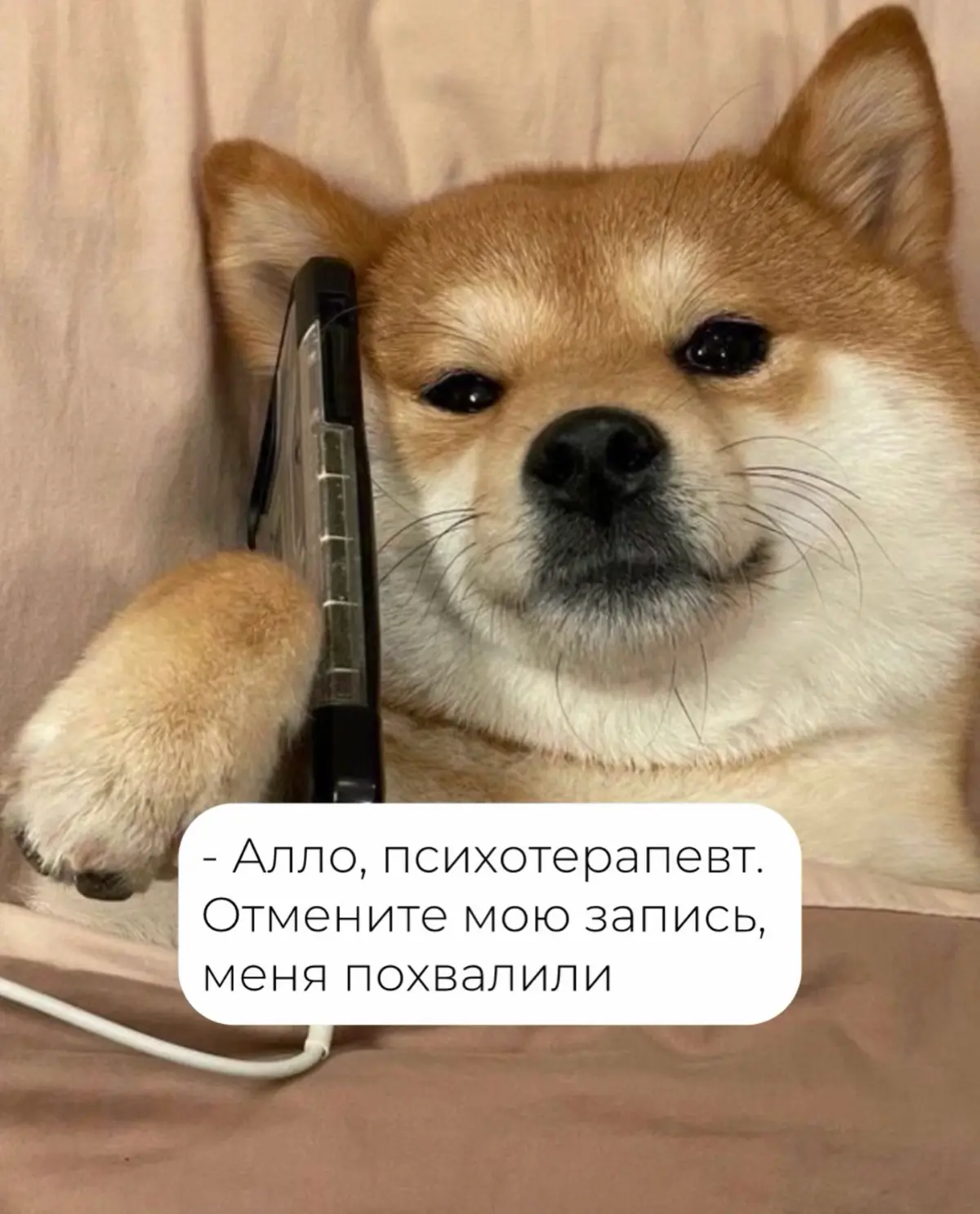 Зачем хвалить сотрудников? | Сетка — социальная сеть от hh.ru