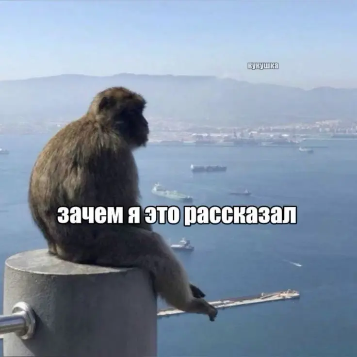 Спасибо, ты уже заплатил | Сетка — социальная сеть от hh.ru