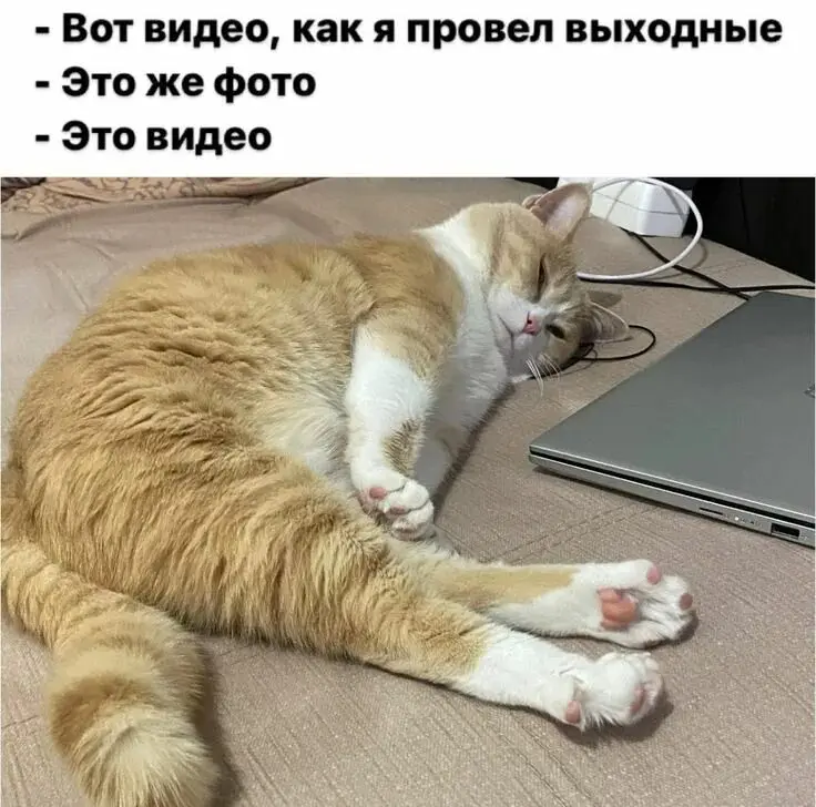 Кто как проводит выходные? | Сетка — социальная сеть от hh.ru