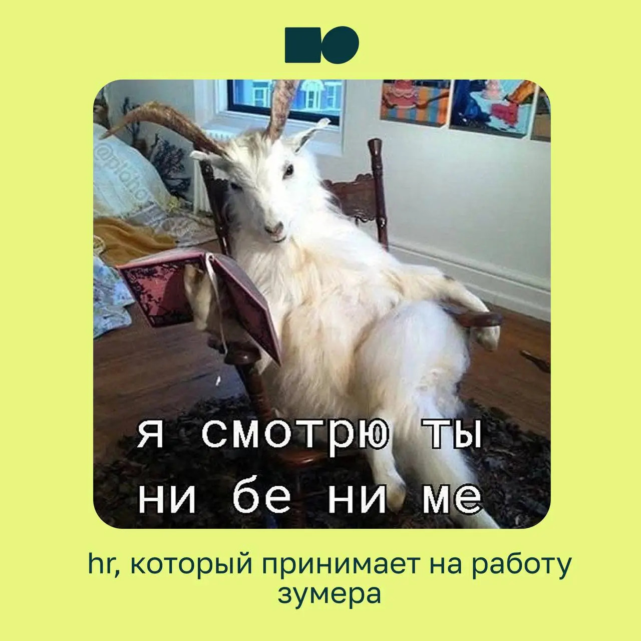 Иногда лучший контент для руководителей — это мемы ☺️
Потому что за каждой картинкой скрывается ситуация, с которой хотя бы раз сталкивался почти каждый руководитель: бесконечные созвоны, срочные зада... | Сетка — социальная сеть от hh.ru