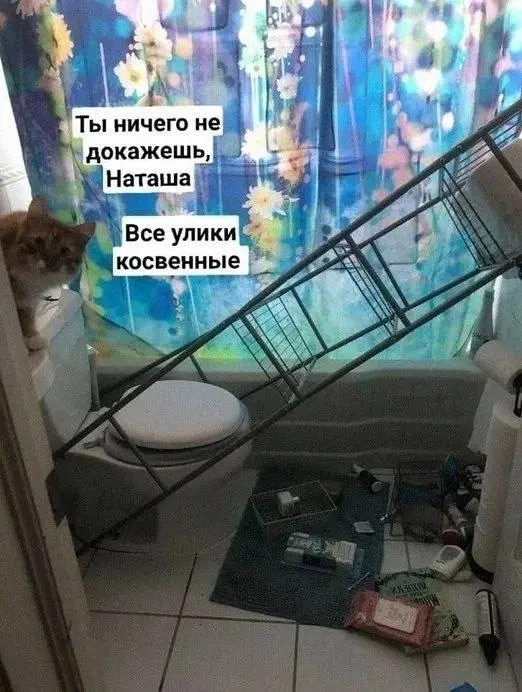 Интересно, кто же это 😂
БЛОГ В ТГ / БЛОГ В MAX
#Юмор #Коты
В этом посте были ссылки, но мы их удалили по правилам Сетки | Сетка — социальная сеть от hh.ru