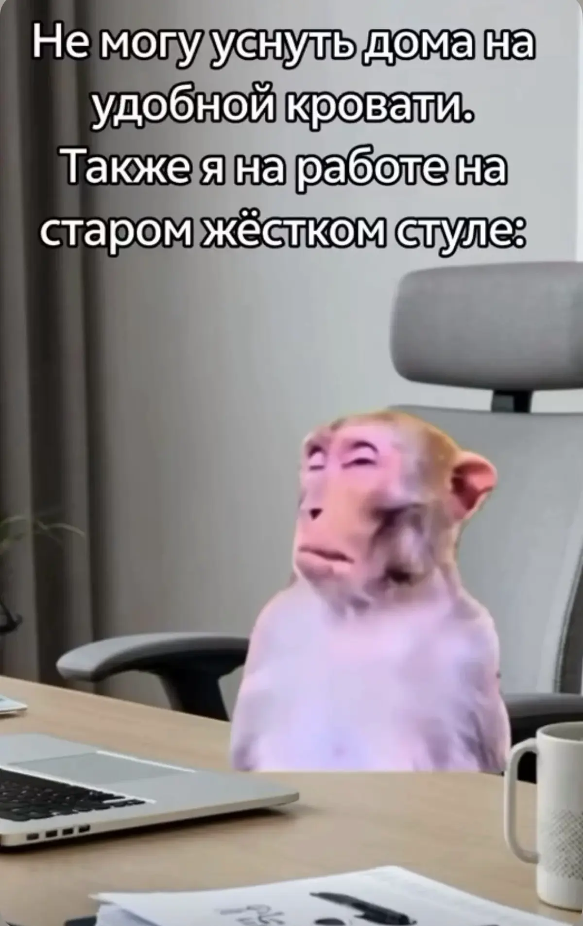 Пятничный мем | Сетка — социальная сеть от hh.ru