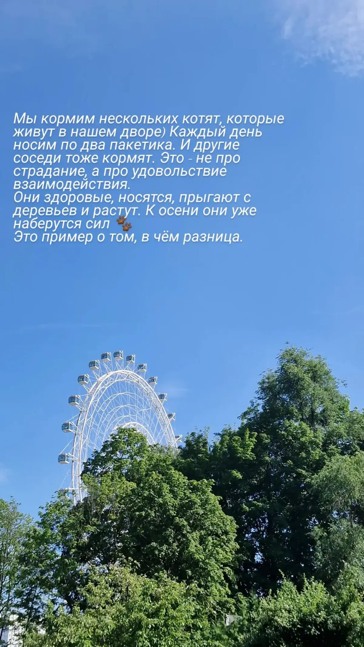 🫶
#осознанность | Сетка — социальная сеть от hh.ru
