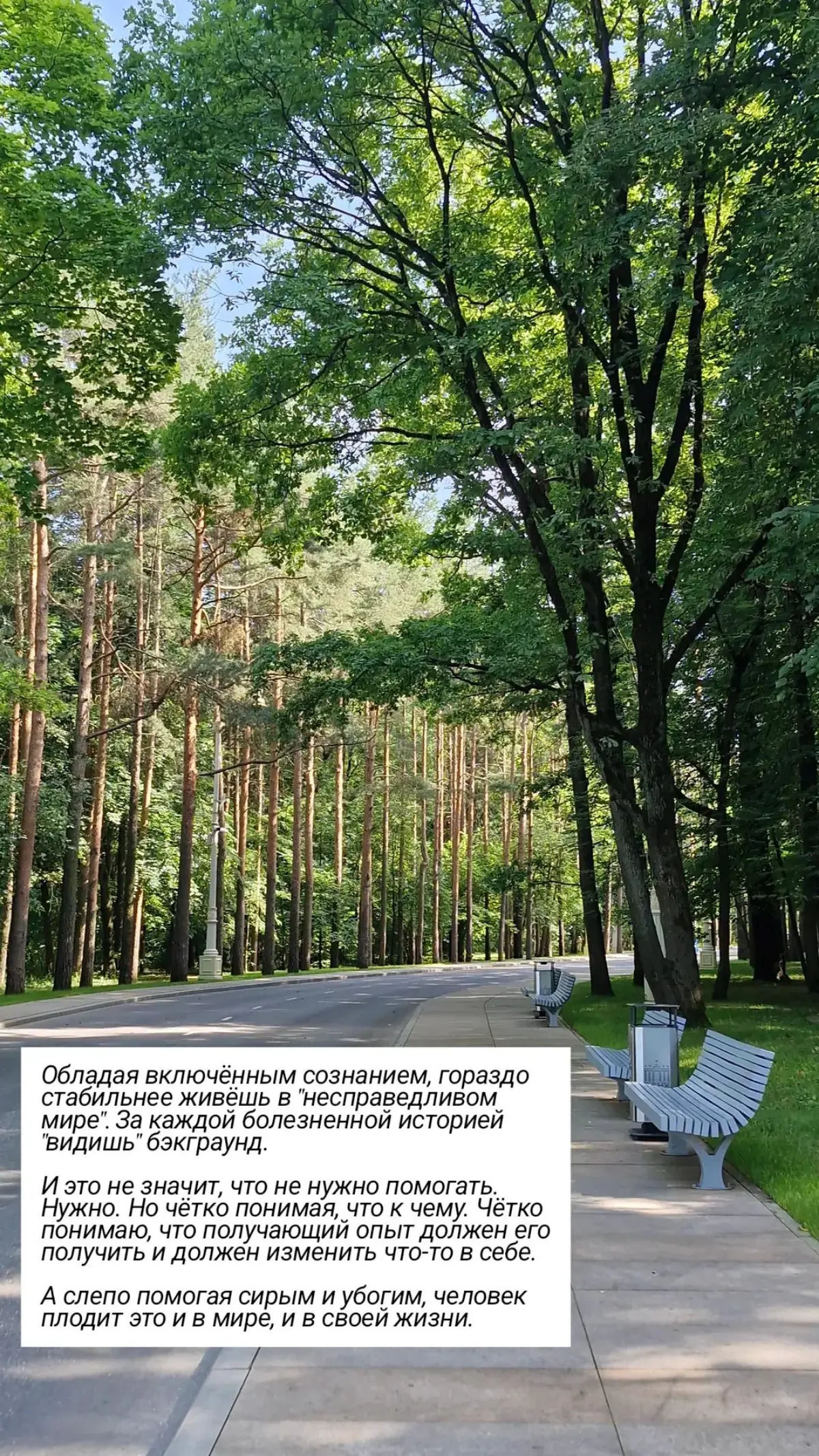 🫶
#осознанность | Сетка — социальная сеть от hh.ru