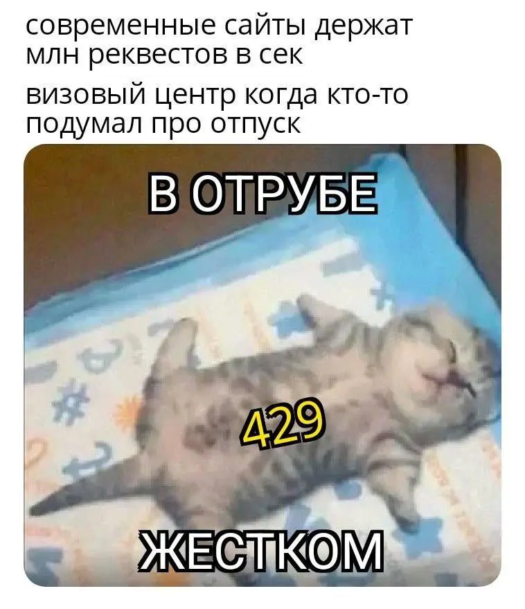 У вас также? | Сетка — социальная сеть от hh.ru