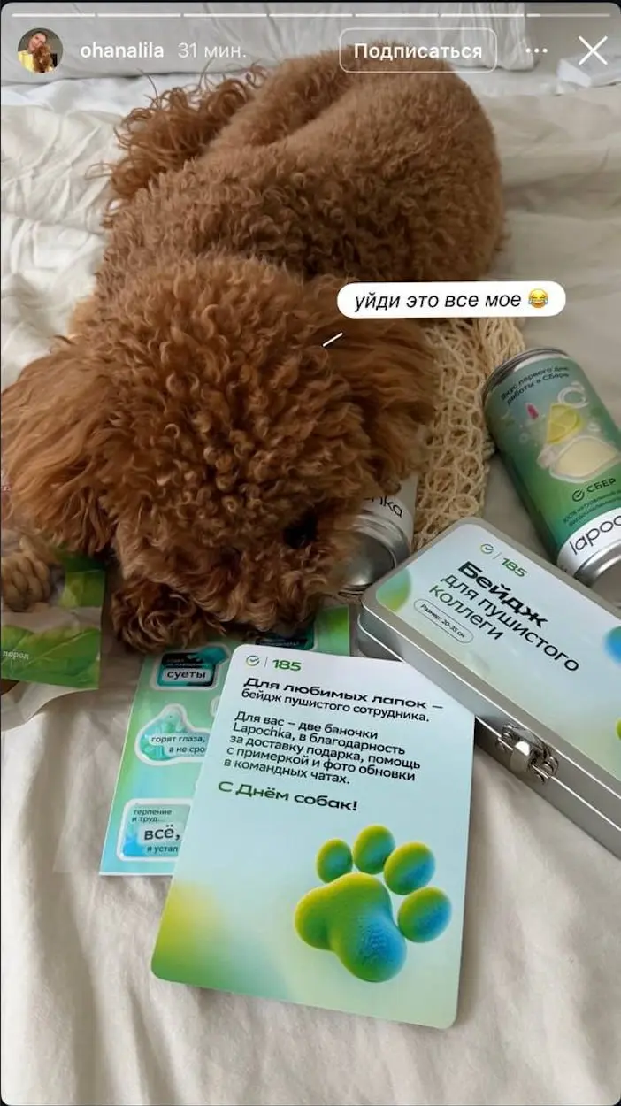 💚Весь Международный день собак я ходила и улыбалась
Потому что наша маленькая авантюра сработала не то, что как надо, а УХ КАК! Ещё с месяц назад мы задумались, что сотрудники часто приходят на созвон... | Сетка — социальная сеть от hh.ru