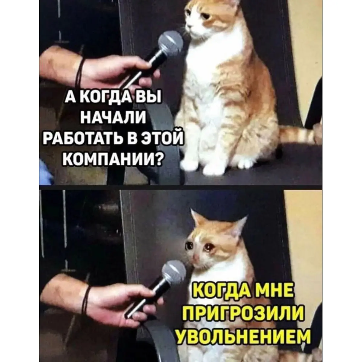 Узнаёте HR? | Сетка — социальная сеть от hh.ru