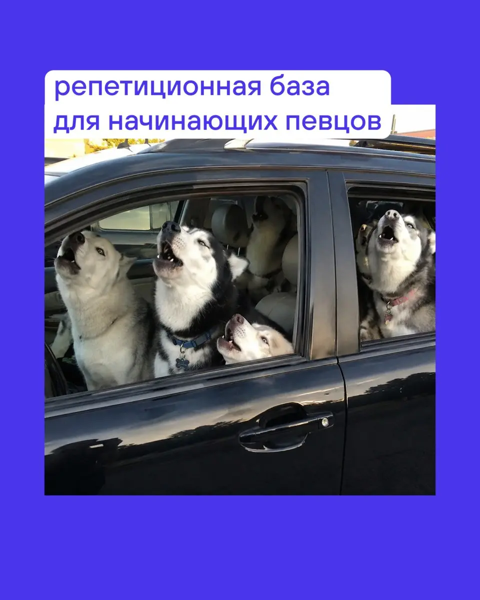 🥲 Твоя ласточка стоит, пылится, ведь заправка теперь = бюджетный кризис.
Мы с командой пофантазировали, как ещё можно использовать машину, пока цены на бензин не вернуться на землю | Сетка — социальная сеть от hh.ru