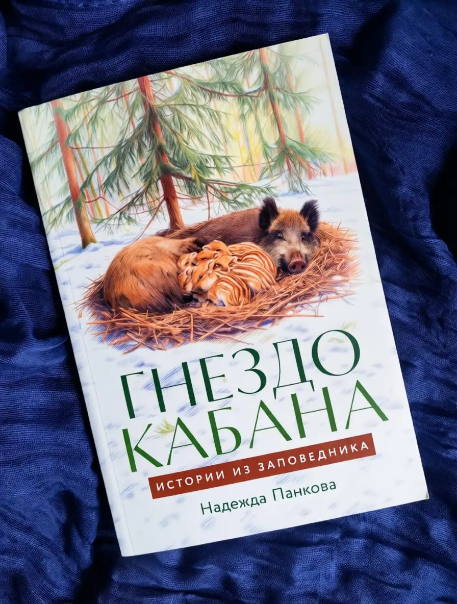Гнездо кабана
Недавно была на презентации книги Надежды Панковой "Гнездо кабана".
Надежда – научный сотрудник Окского заповедника | Сетка — социальная сеть от hh.ru