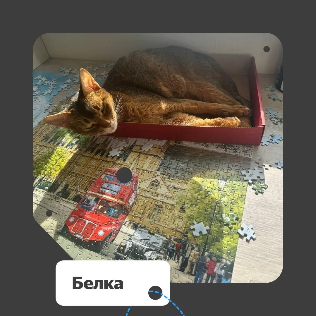 ❔ Спорим, вы тоже отправляете фотки своих питомцев при первой же возможности? Мы — да. У нас для этого целая пятничная традиция есть.
Вот каким кадрам мы умилялись сегодня | Сетка — социальная сеть от hh.ru