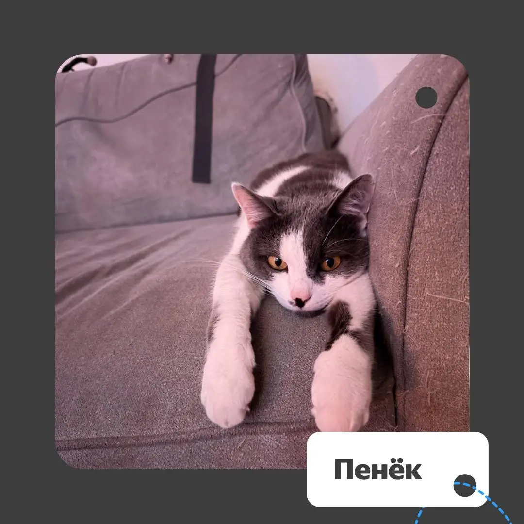 ❔ Спорим, вы тоже отправляете фотки своих питомцев при первой же возможности? Мы — да. У нас для этого целая пятничная традиция есть.
Вот каким кадрам мы умилялись сегодня | Сетка — социальная сеть от hh.ru
