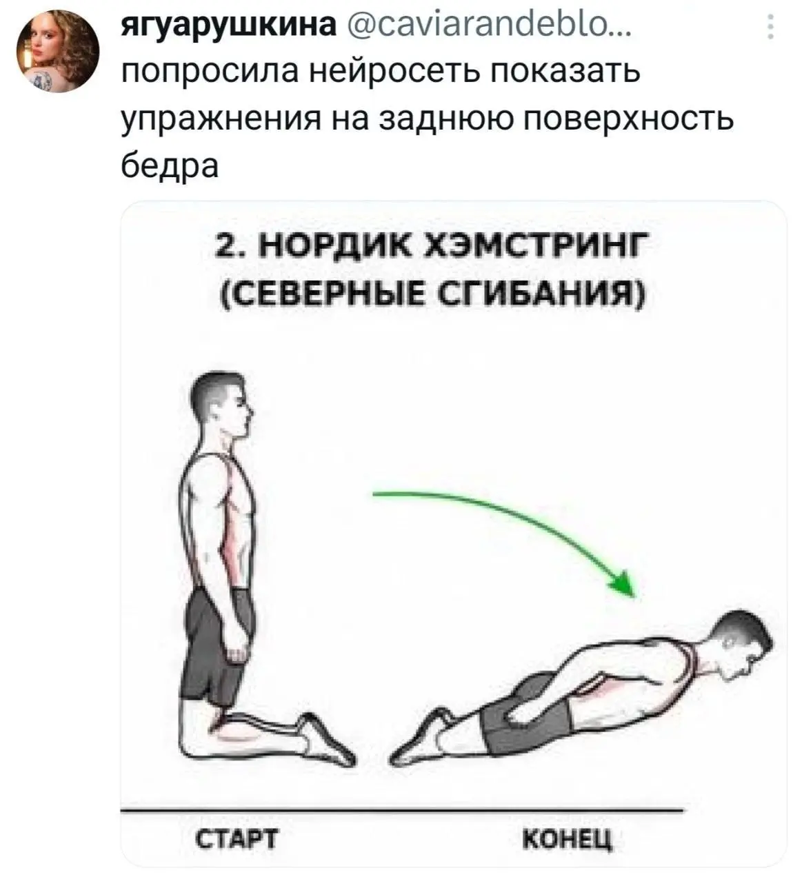 Когда поменял живого тренера на нейросеть
#несерьезное | Сетка — социальная сеть от hh.ru