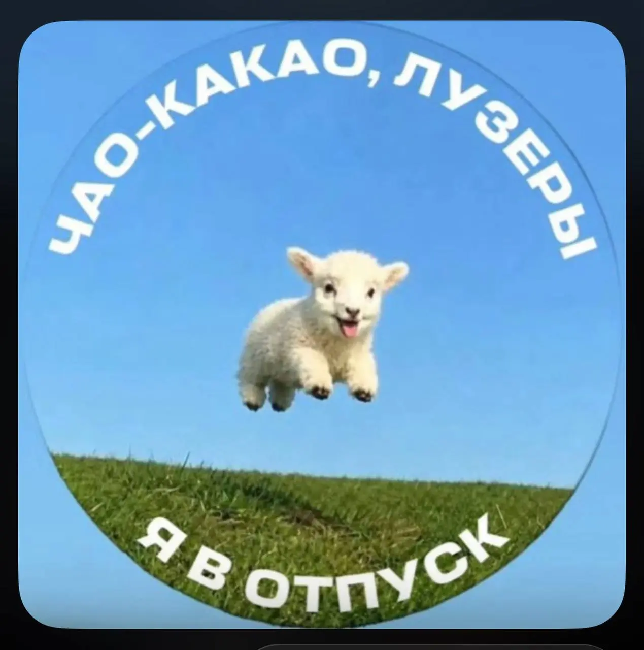 На целых 2 дня 😂 | Сетка — социальная сеть от hh.ru