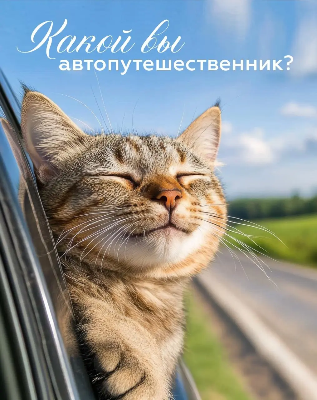 В дороге все мы открываемся с новой стороны 🙂 | Сетка — социальная сеть от hh.ru